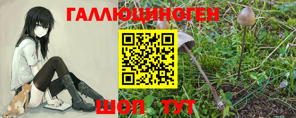 Псилоцибиновые грибы Magic Shrooms Нефтекамск
